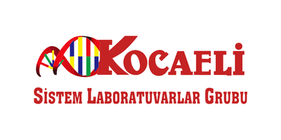 Kocaeli Sistem Laboratuvarı