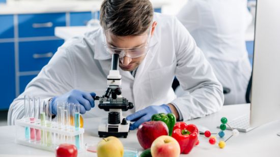 Gıda Laboratuvarı resmi